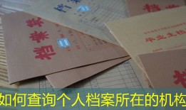如何查询个人档案所在的机构