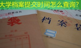 大学档案提交时间怎么查询？