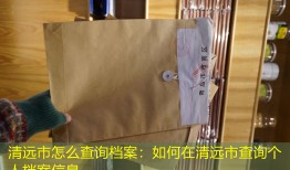清远市怎么查询档案：如何在清远市查询个人档案信息