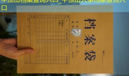 平顶山档案查询入口_平顶山人事档案查询入口