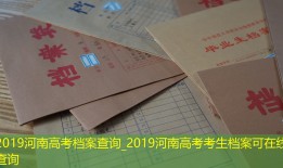 2019河南高考档案查询_2019河南高考考生档案可在线查询