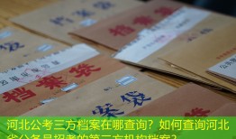 河北公考三方档案在哪查询？如何查询河北省公务员招考的第三方机构档案？