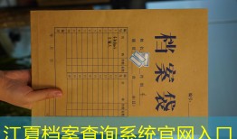 江夏档案查询系统官网入口