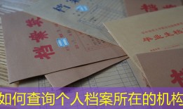如何查询个人档案所在的机构