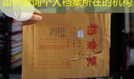 如何查询个人档案所在的机构