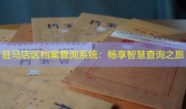驻马店区档案查询系统：畅享智慧查询之旅