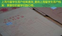 上海市留学生落户档案查询_查询上海留学生落户档案：掌握您的留学归国行程。