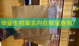 毕业生档案去向在哪里查询？