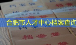 合肥市人才中心档案查询