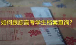 如何跟踪高考学生档案查询？