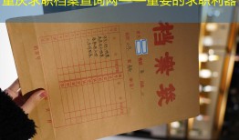 重庆求职档案查询网——重要的求职利器