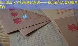 湖北武汉人才档案查询系统——湖北武汉人员档案查询平台