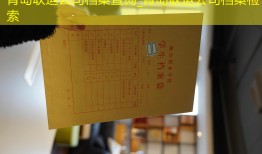 青岛联运公司档案查询_青岛联运公司档案检索