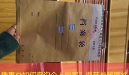 豫事办如何查询个人档案？揭开神秘面纱