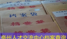 亳州人才交流中心档案查询