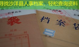 寻找沙洋县人事档案，轻松查询资料