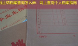 线上转档案查询怎么弄：网上查询个人档案指南