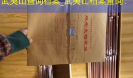 武夷山查询档案_武夷山档案查询：