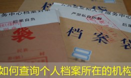 如何查询个人档案所在的机构