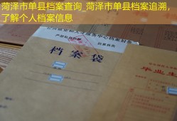 菏泽市单县档案查询_菏泽市单县档案追溯，了解个人档案信息