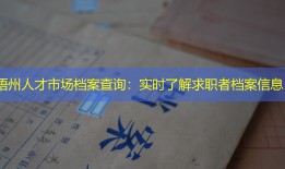 梧州人才市场档案查询：实时了解求职者档案信息