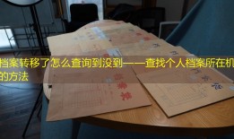 档案转移了怎么查询到没到——查找个人档案所在机构的方法