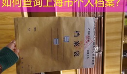 如何查询上海市个人档案？