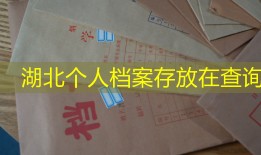 湖北个人档案存放在查询