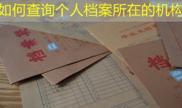 如何查询个人档案所在的机构