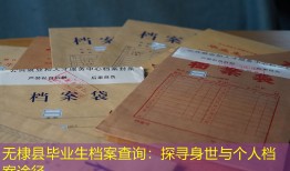 无棣县毕业生档案查询：探寻身世与个人档案途径