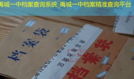 禹城一中档案查询系统_禹城一中档案精准查询平台