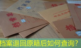 档案退回原籍后如何查询？
