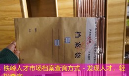 铁岭人才市场档案查询方式 - 发现人才，轻松查询