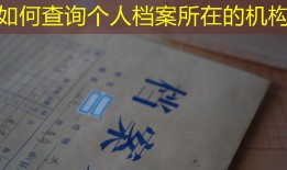 如何查询个人档案所在的机构