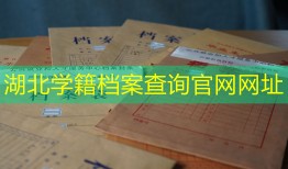 湖北学籍档案查询官网网址