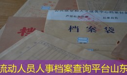 流动人员人事档案查询平台山东
