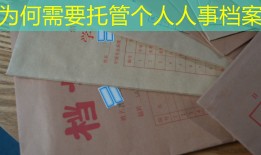 为何需要托管个人人事档案