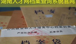 湖南人才网档案查询系统官网