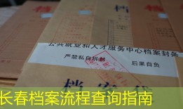 长春档案流程查询指南