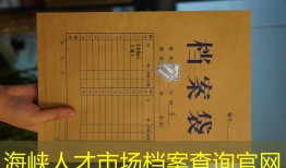 海峡人才市场档案查询官网