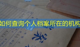 如何查询个人档案所在的机构