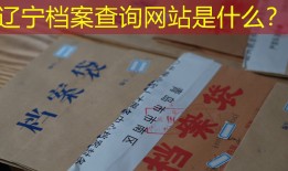 辽宁档案查询网站是什么？