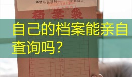 自己的档案能亲自查询吗？