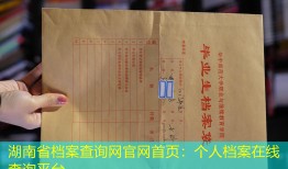 湖南省档案查询网官网首页：个人档案在线查询平台