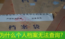 为什么个人档案无法查询？