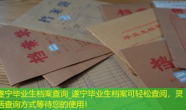 遂宁毕业生档案查询_遂宁毕业生档案可轻松查阅，灵活查询方式等待您的使用！