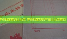 枣庄档案查询本地宝_枣庄档案现已可在本地宝查阅