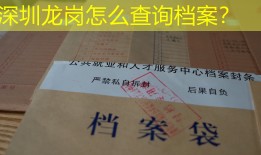 深圳龙岗怎么查询档案？