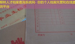 柳林人才档案查询系统网- 你的个人档案托管和在线查询平台