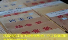 档案转机类型代码查询系统：个人档案退回原籍后如何查询